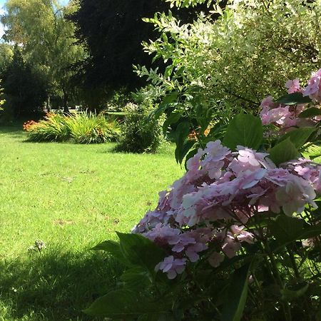 Au Fil Du Crembreux Bed & Breakfast Marquise Eksteriør bilde