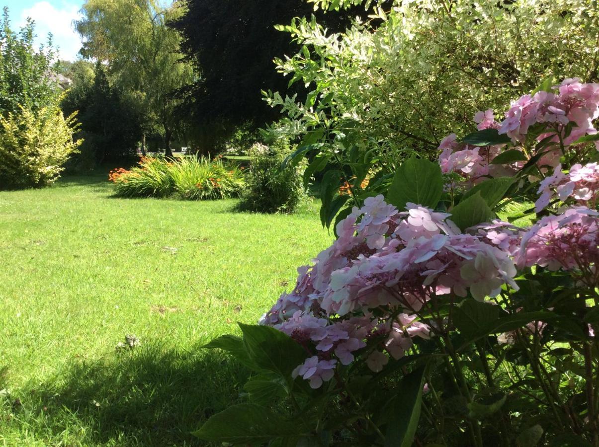 Au Fil Du Crembreux Bed & Breakfast Marquise Eksteriør bilde